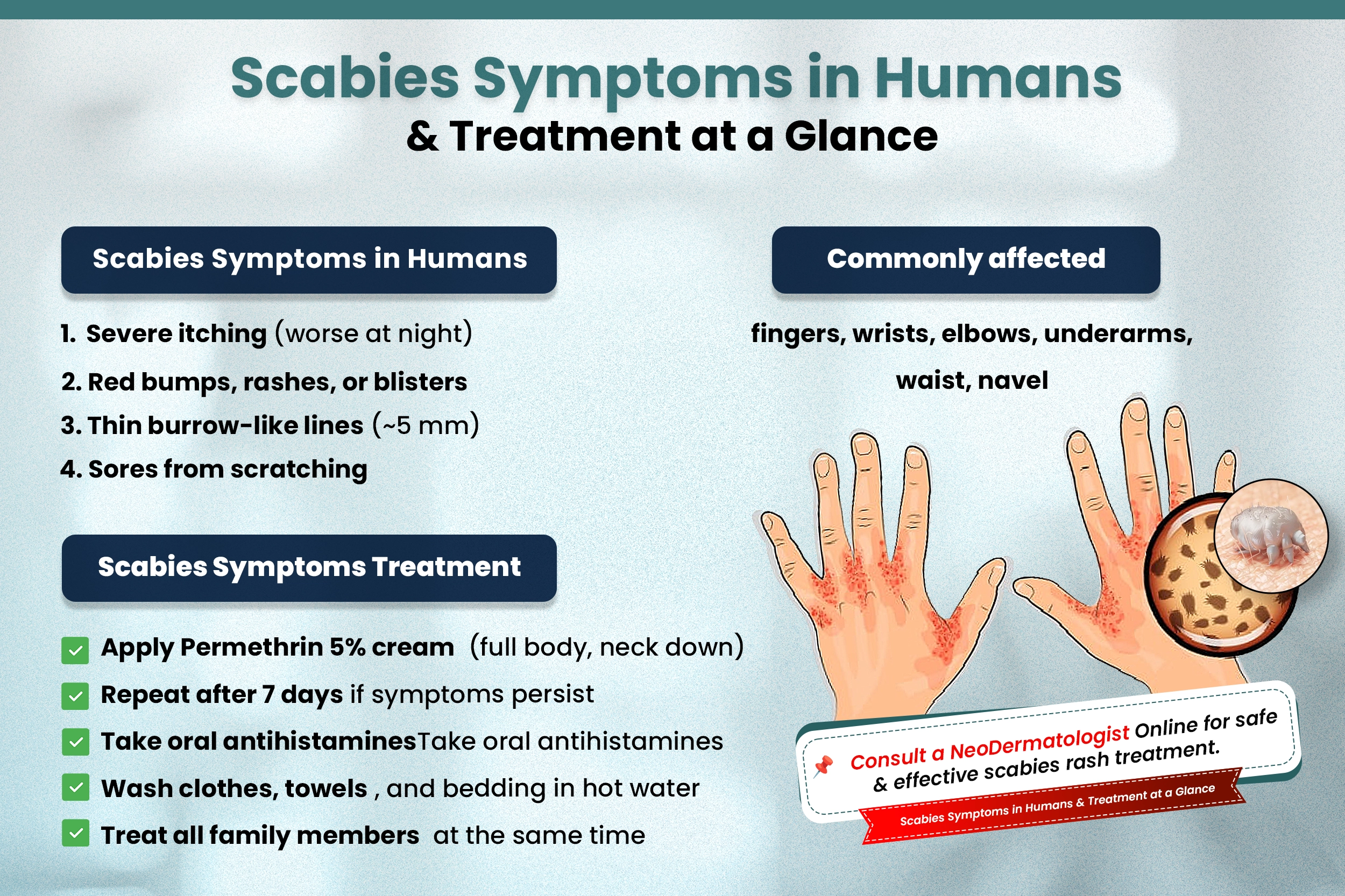  Scabies Symptoms in Humans & Treatment at a Glance